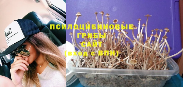 стаф Балабаново